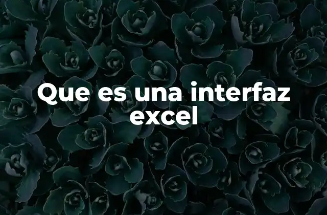 Cómo se organiza la interfaz de Excel