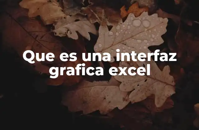 Que es una Interfaz Grafica Excel