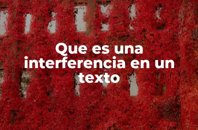 Que es una Interferencia en un Texto