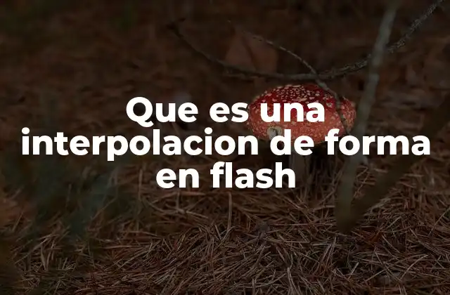 Que es una Interpolacion de Forma en Flash