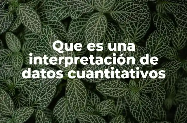 Que es una Interpretación de Datos Cuantitativos