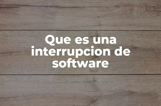 Que es una Interrupcion de Software