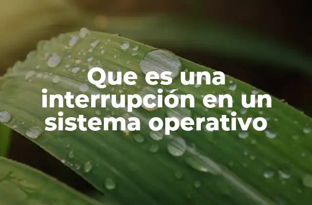 Que es una Interrupción en un Sistema Operativo