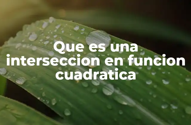 La importancia de las intersecciones en el análisis gráfico de funciones cuadráticas