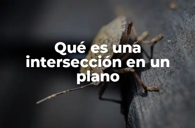 Qué es una Intersección en un Plano