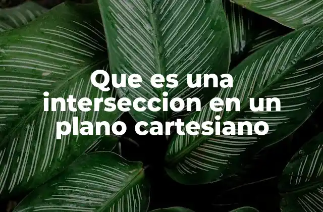 Que es una Interseccion en un Plano Cartesiano