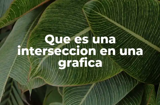 Que es una Interseccion en una Grafica