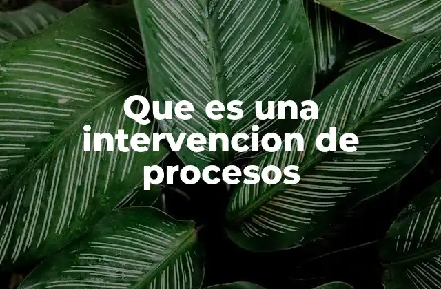 Que es una Intervencion de Procesos