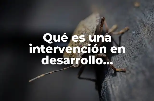 Qué es una Intervención en Desarrollo Organizacional Tipos