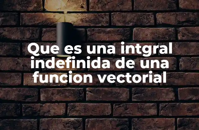 Que es una Intgral Indefinida de una Funcion Vectorial 2 Integración vectorial en el contexto del cálculo multivariable