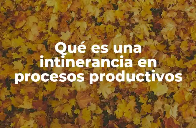 Qué es una Intinerancia en Procesos Productivos