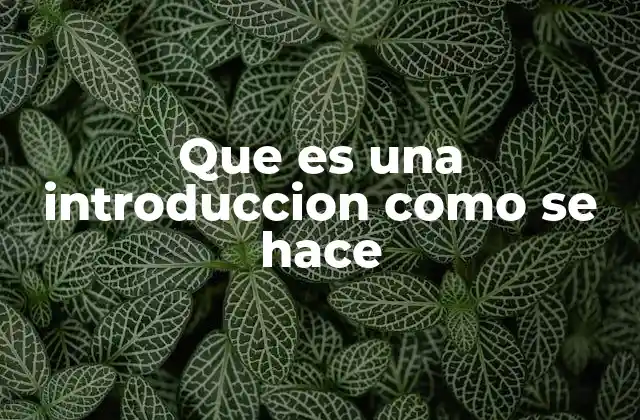 La importancia de estructurar bien el comienzo de un texto