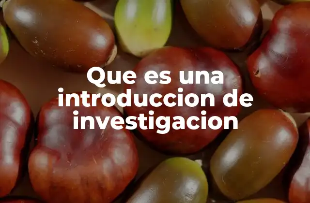 Que es una Introduccion de Investigacion