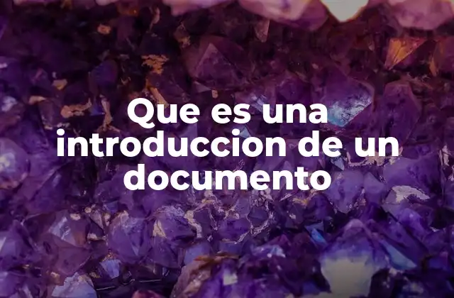 Que es una Introduccion de un Documento