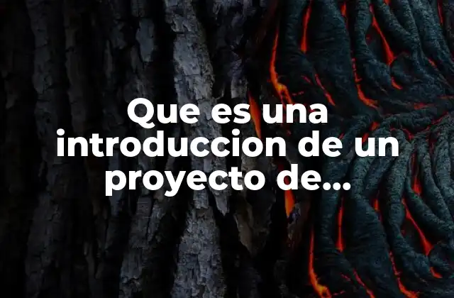 Que es una Introduccion de un Proyecto de Investigacion