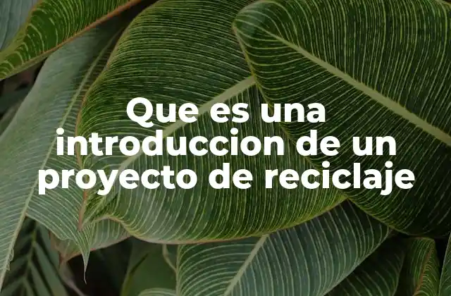 Que es una Introduccion de un Proyecto de Reciclaje
