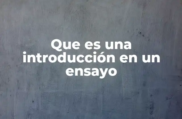 Que es una Introducción en un Ensayo