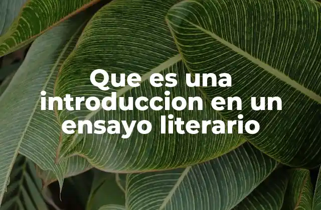 Que es una Introduccion en un Ensayo Literario