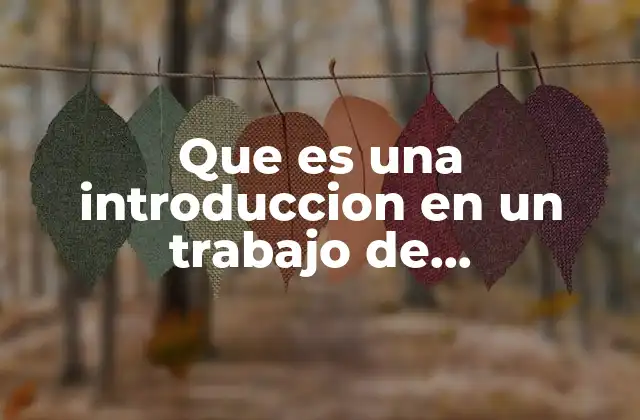 La importancia de comenzar con una guía clara en el texto académico