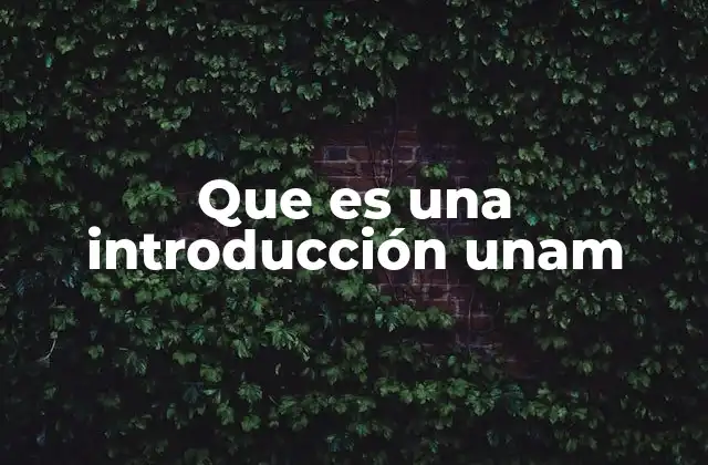 Que es una Introducción Unam