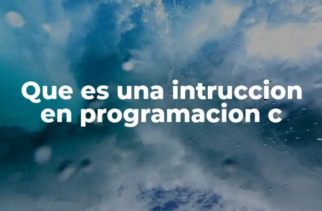 Que es una Intruccion en Programacion C