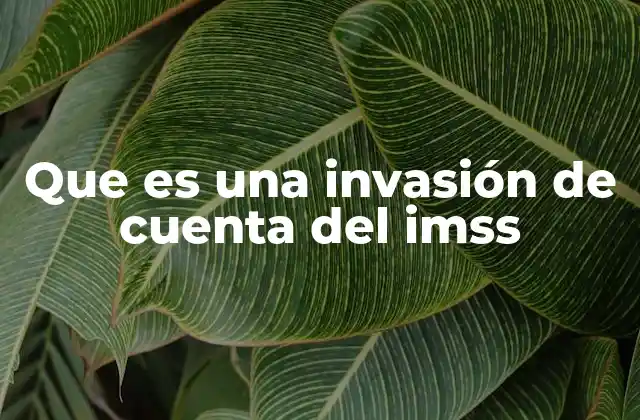 Que es una Invasión de Cuenta Del Imss