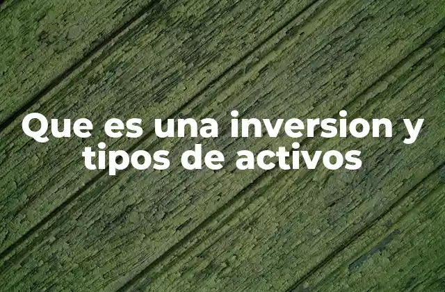 Que es una Inversion y Tipos de Activos