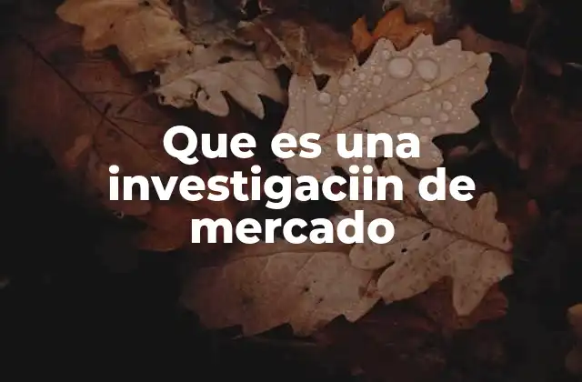 Que es una Investigaciin de Mercado