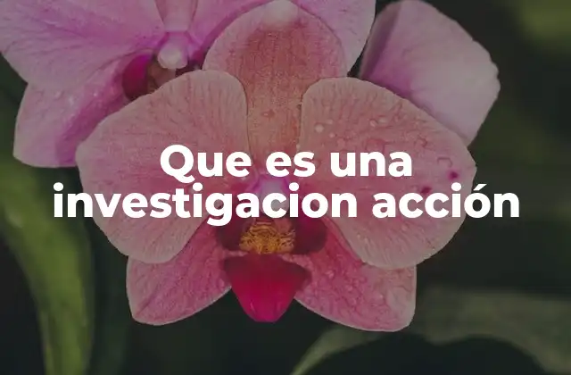 Que es una Investigacion Acción