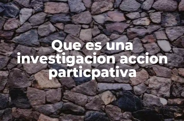 Que es una Investigacion Accion Particpativa