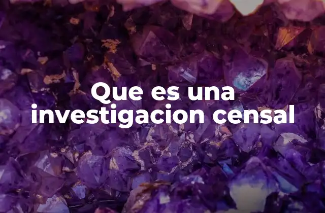 Que es una Investigacion Censal