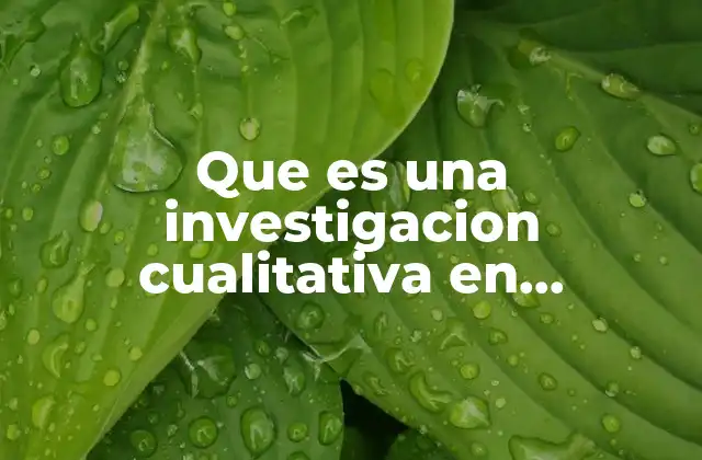 Que es una Investigacion Cualitativa en Investigacion de Mercados