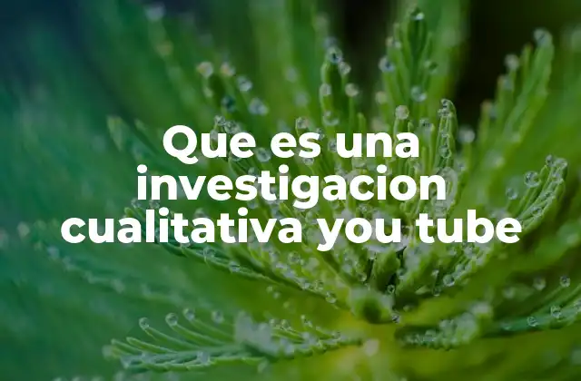 Que es una Investigacion Cualitativa You Tube