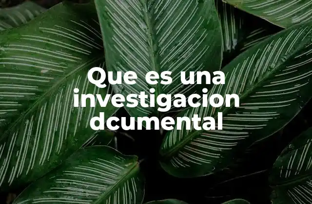 Que es una Investigacion Dcumental