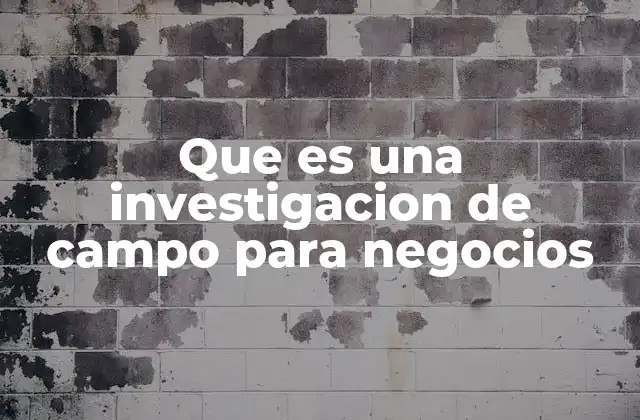 Que es una Investigacion de Campo para Negocios
