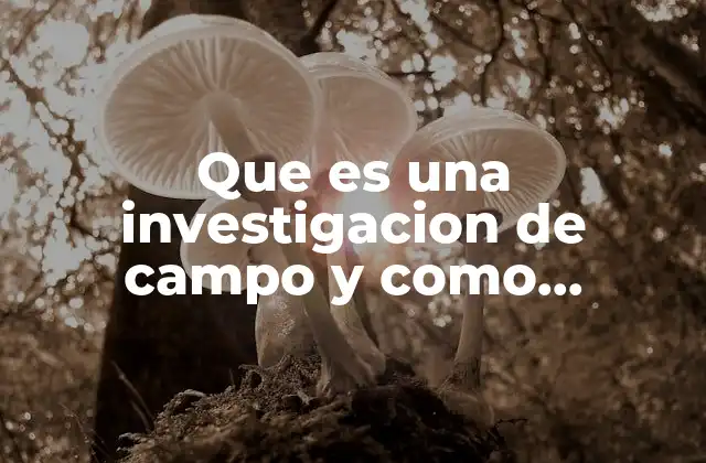 Que es una Investigacion de Campo y como Realizarla