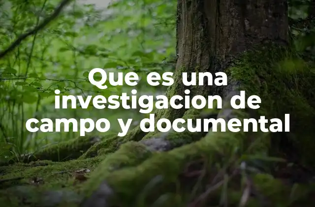 Diferencias entre investigación de campo y documental