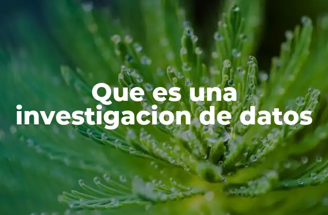 Que es una Investigacion de Datos
