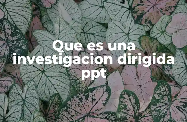 Que es una Investigacion Dirigida Ppt