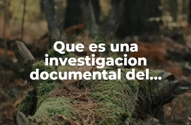 Que es una Investigacion Documental Del Embarazo No Deseado Ejemplo
