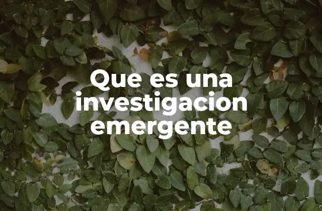 Que es una Investigacion Emergente