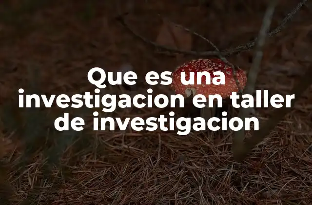 Que es una Investigacion en Taller de Investigacion