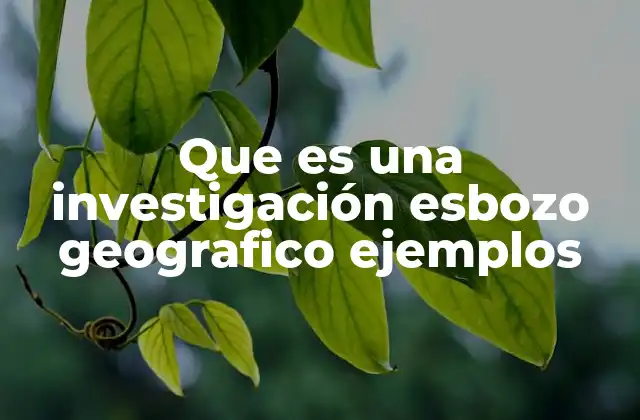 Que es una Investigación Esbozo Geografico Ejemplos