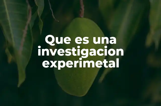 Que es una Investigacion Experimetal
