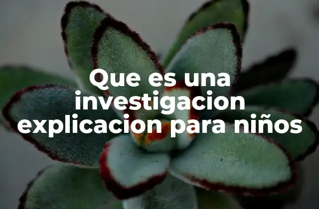 Que es una Investigacion Explicacion para Niños