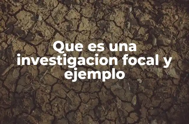 Que es una Investigacion Focal y Ejemplo