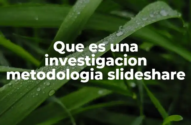 La importancia de la metodología en la investigación científica