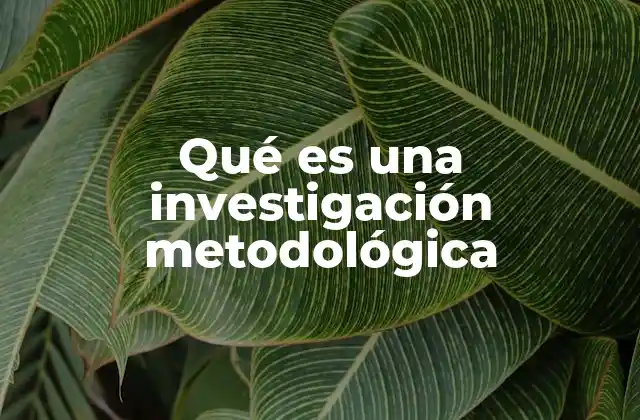 Qué es una Investigación Metodológica