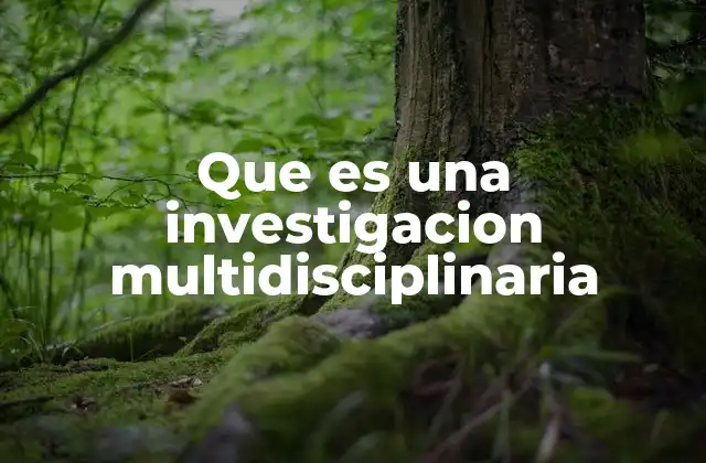Que es una Investigacion Multidisciplinaria 2 La importancia de integrar diferentes áreas de conocimiento