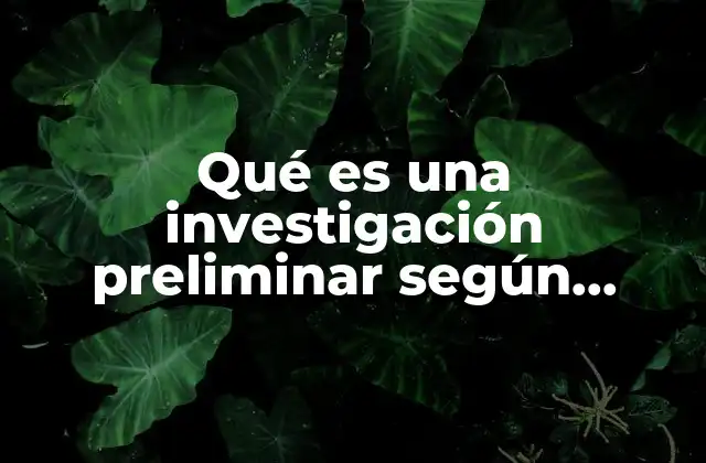 El papel de la investigación preliminar en la metodología científica